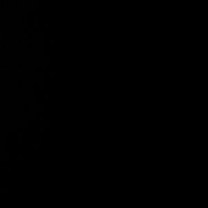 Meet your Posher, Reem